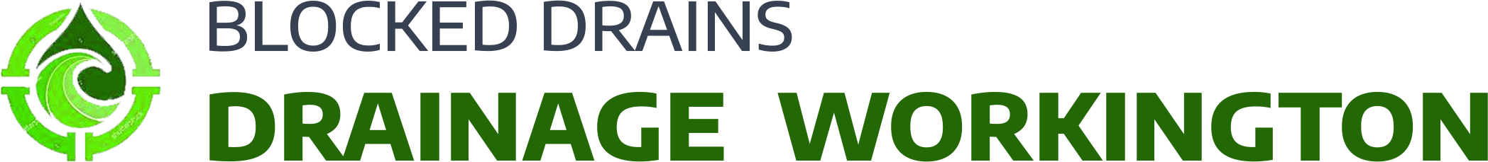 website logo